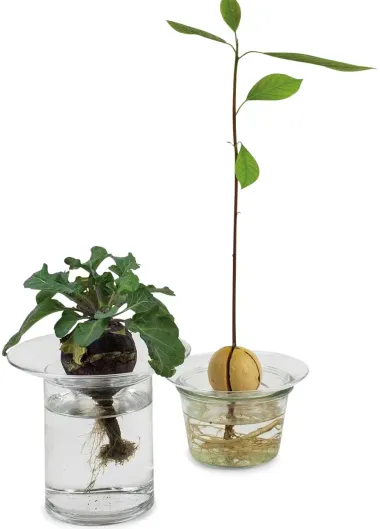 Aufsatz zu Vase Labor