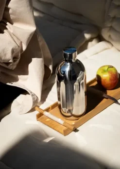 Edelstahlflasche zu Wassersprudler Carbonator Pro