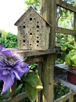 Nisthilfe Bienenhotel Bee's Inn