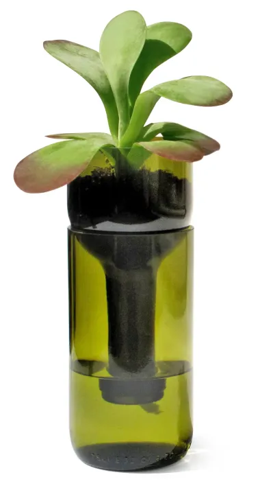 Pflanzgefäß Self Watering Bottle
