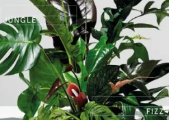 Plants at Work
