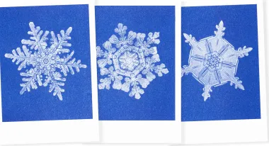 Postkarten-Set Riso Winter