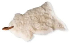 Schaffell Skiep
