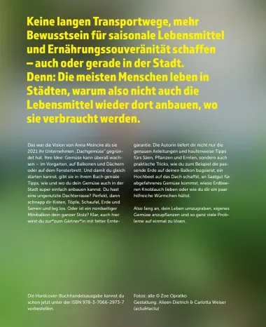 Stadtgemüse