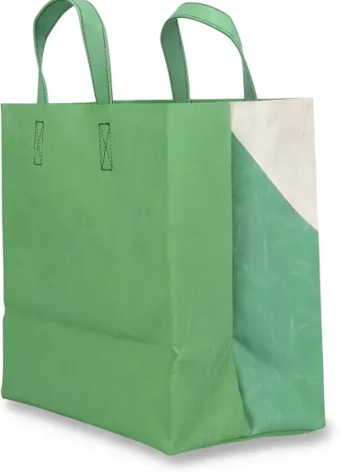 Tasche F250 Sonny
