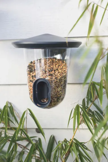 Vogelfutterspender FeedR