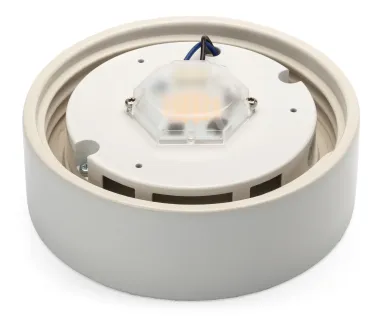 Wand- und Deckenleuchte Zylinder LED